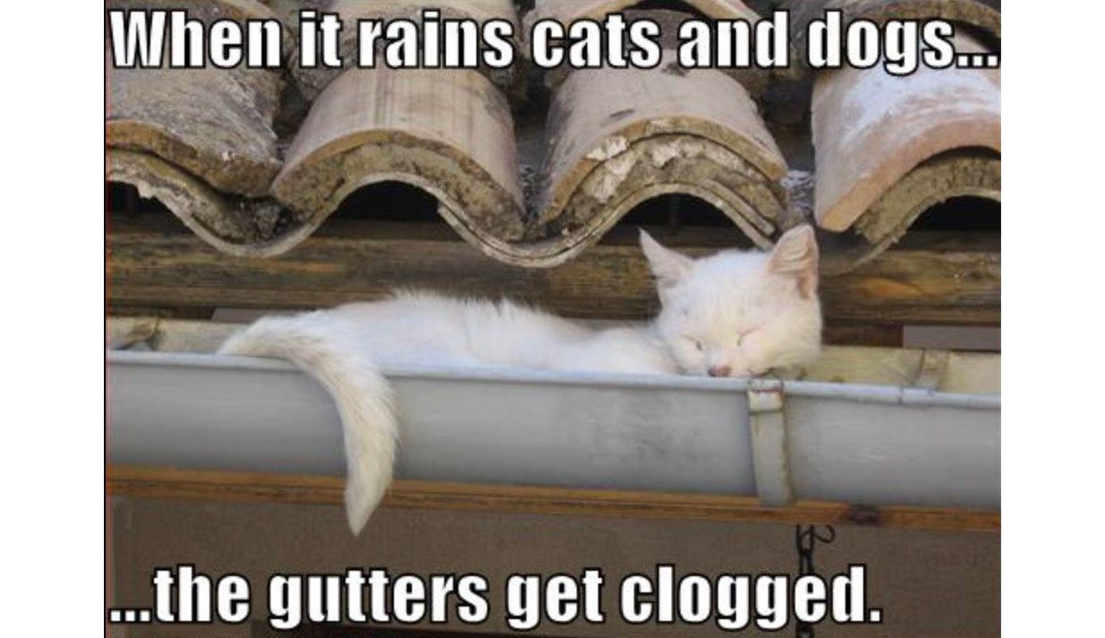 5 Gutter Cleaning Products That Save Time and Hassle