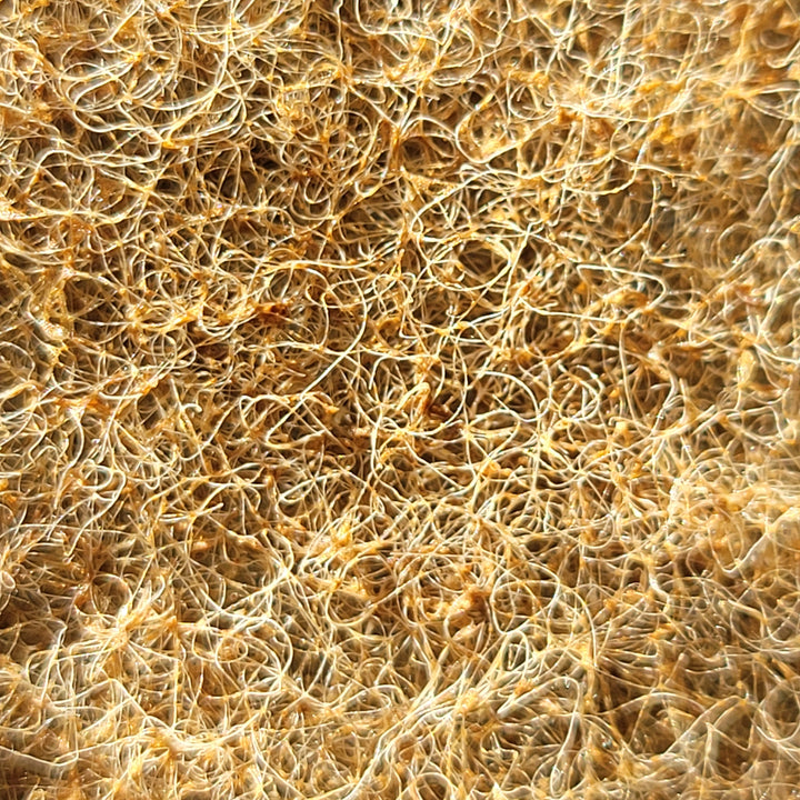 A close-up of a walnut scrub pad, highlighting the detailed mesh-like texture. The intertwined fibers in varying shades of brown suggest the incorporation of crushed walnut shells for an eco-friendly, non-scratch cleaning surface.