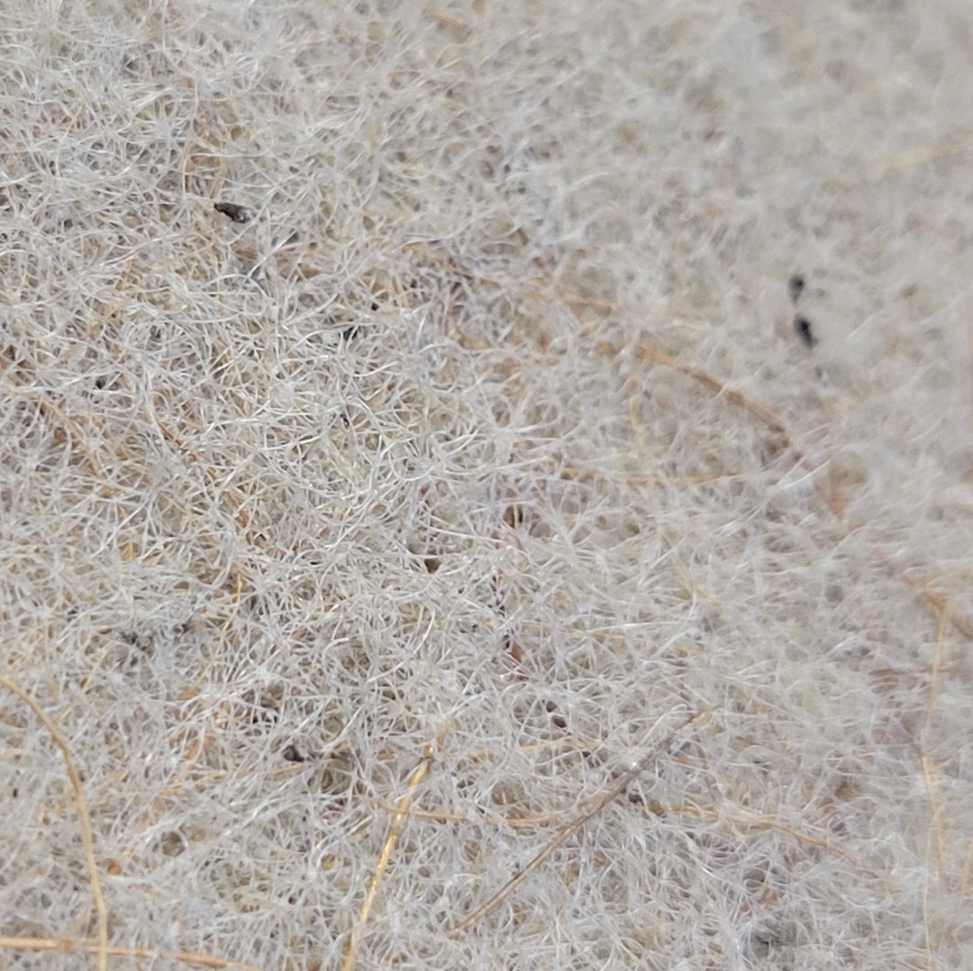 A close-up of the coconut husk scouring pad highlighting the intricate web of natural brown fibers and the pad's porous structure.