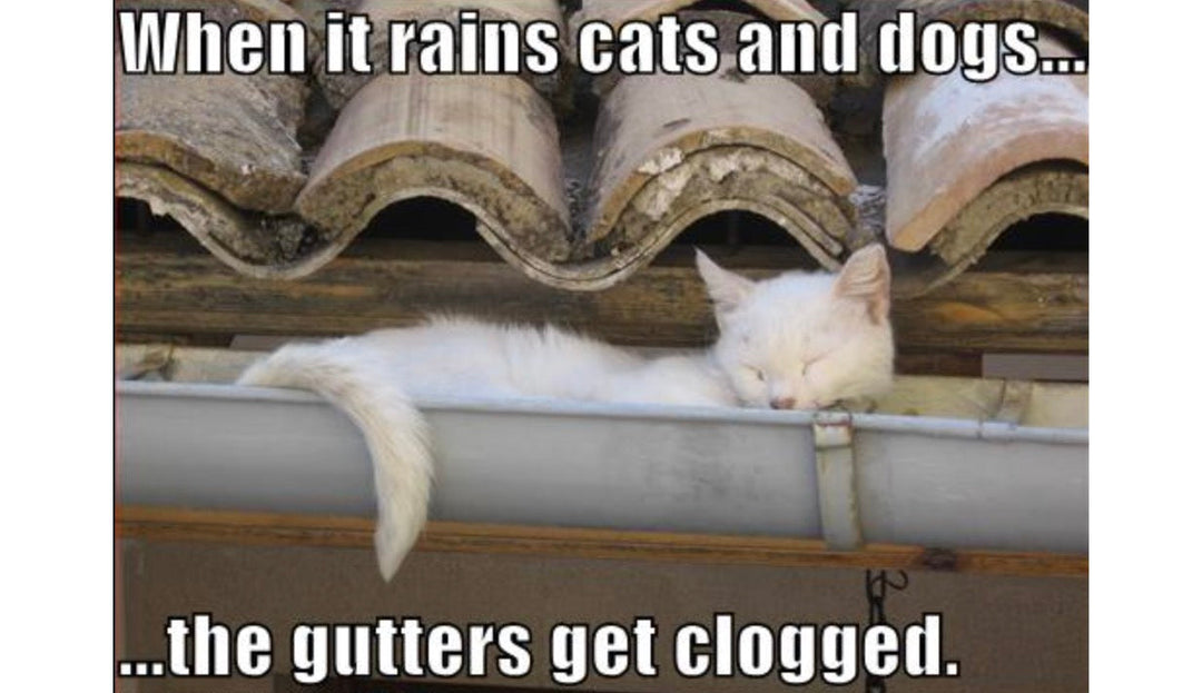 5 Gutter Cleaning Products That Save Time and Hassle