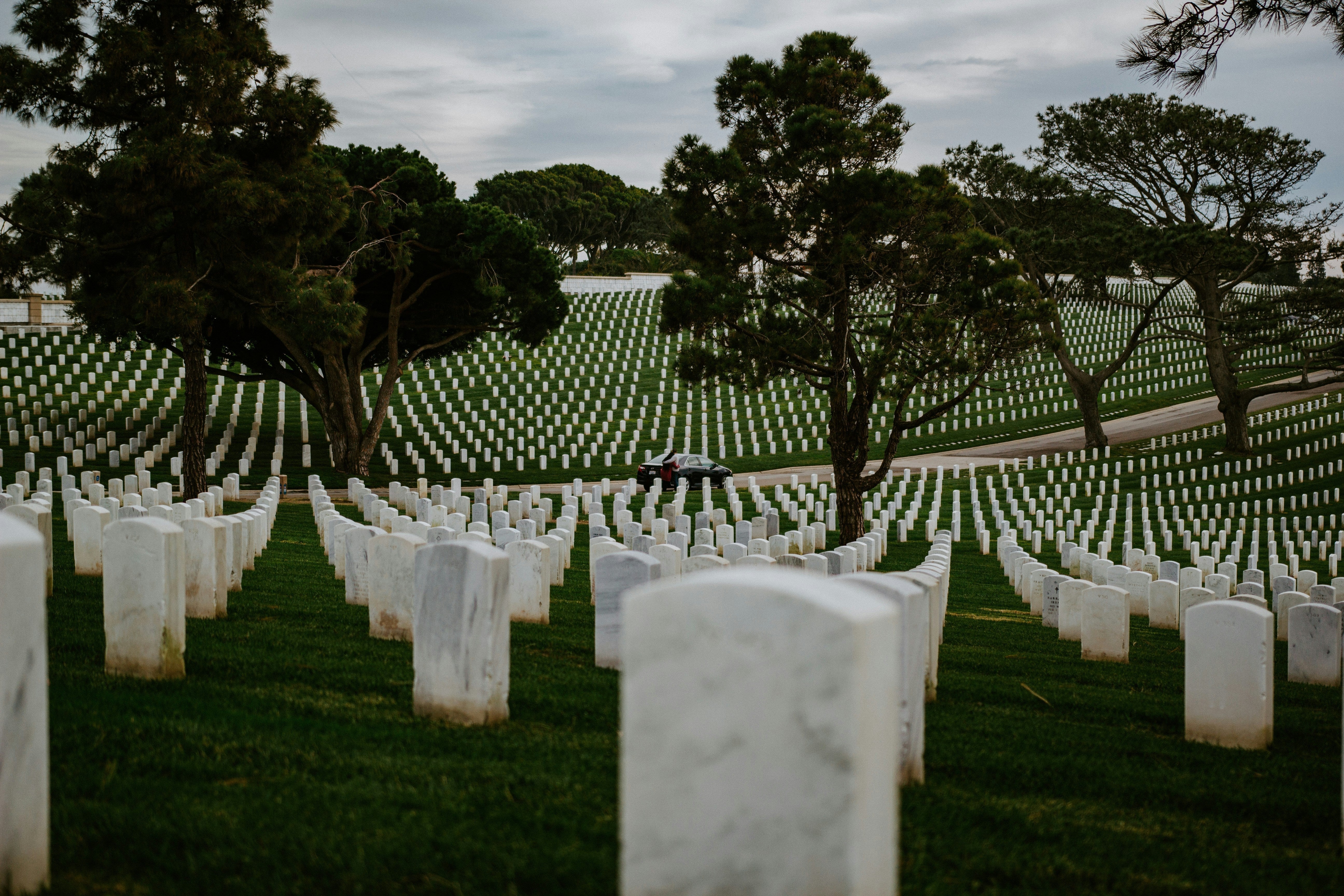 Memorial Day: Honoring the True Meaning of Sacrifice – Window Magic Supply