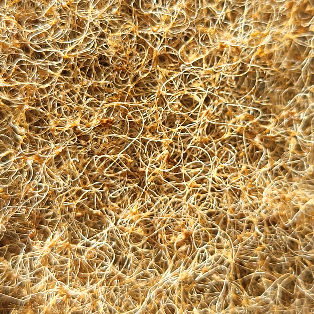 A close-up of a walnut scrub pad, highlighting the detailed mesh-like texture. The intertwined fibers in varying shades of brown suggest the incorporation of crushed walnut shells for an eco-friendly, non-scratch cleaning surface.