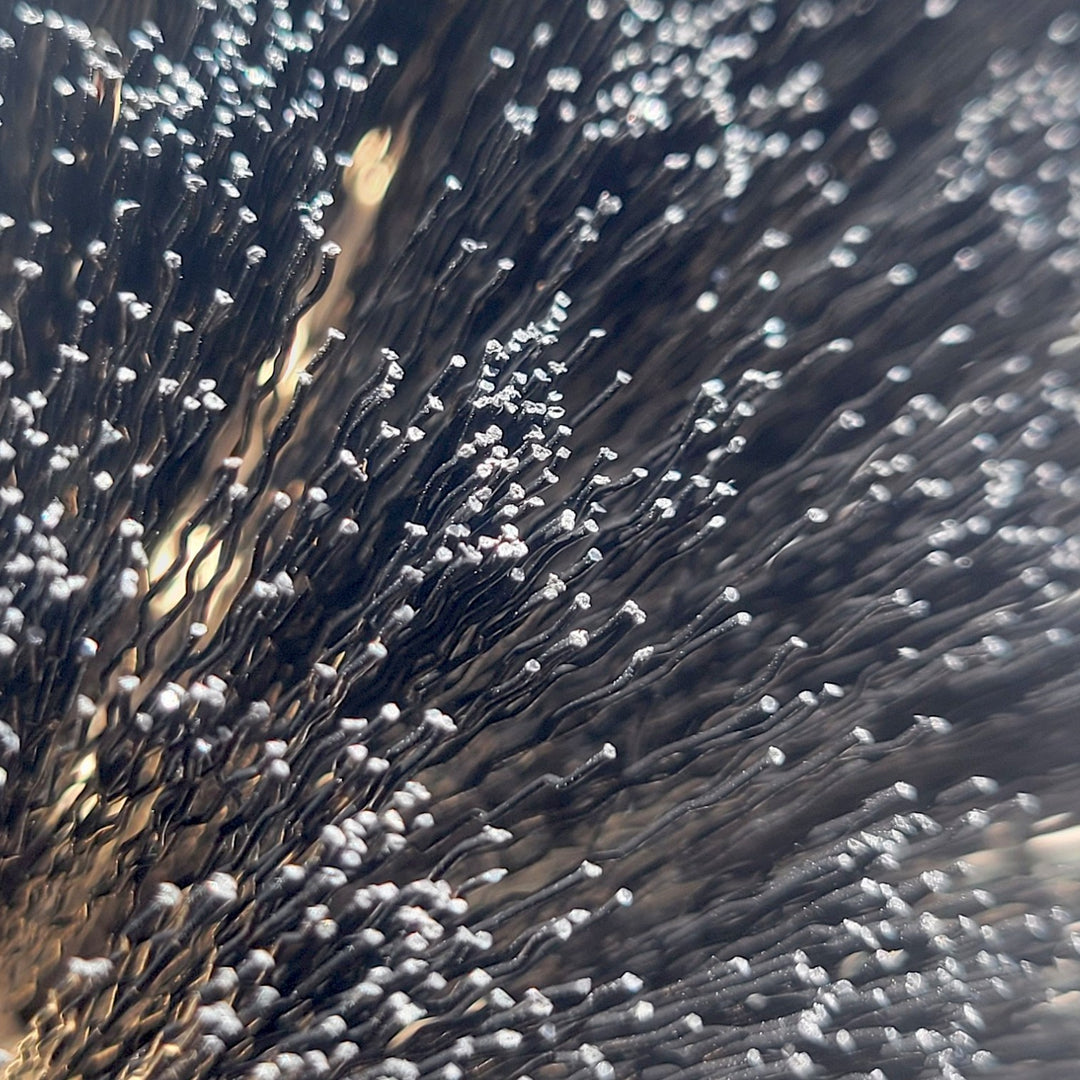 up-close of the bristles used on this bench brush.