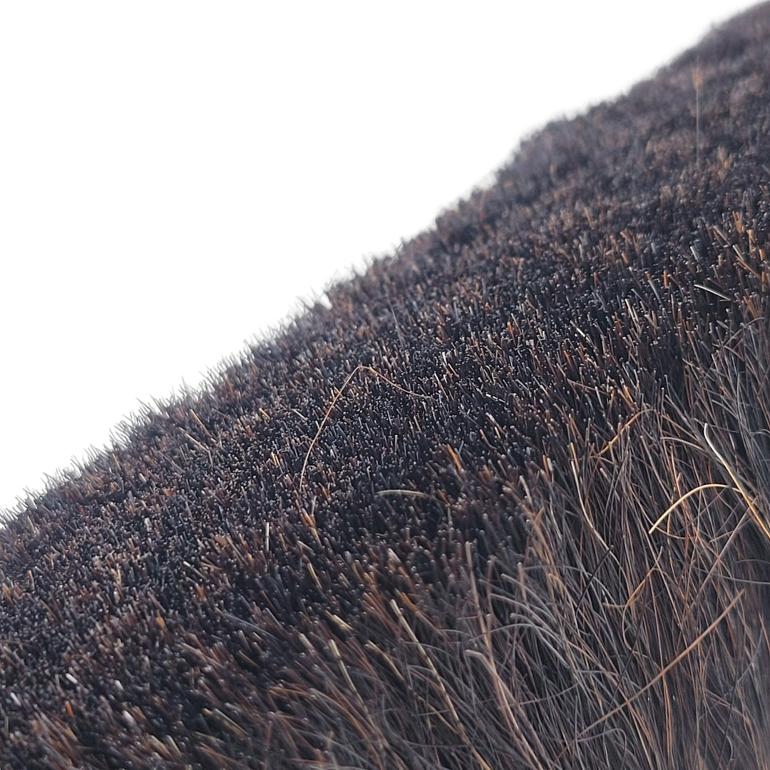 Bench Brush Horse Hair Bristles