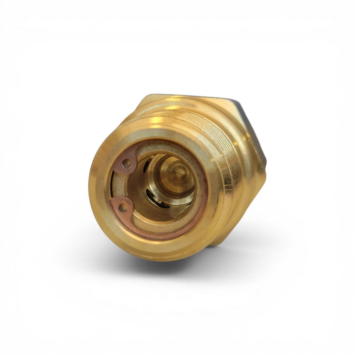 IPC Pulex Check Valve - Male In/Fem Out (1/2" inlet x 1/2" NPT)