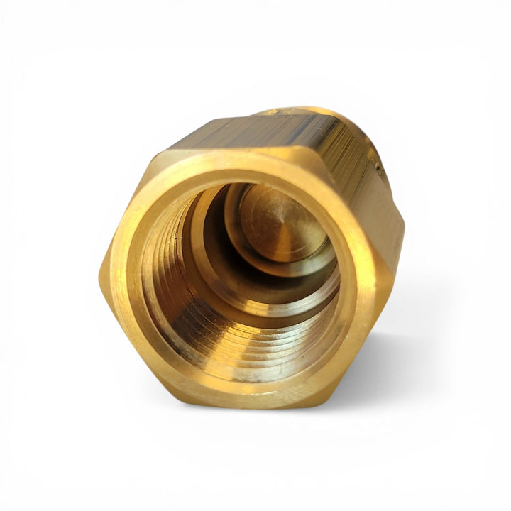 IPC Pulex Check Valve - Male In/Fem Out (1/2" inlet x 1/2" NPT)