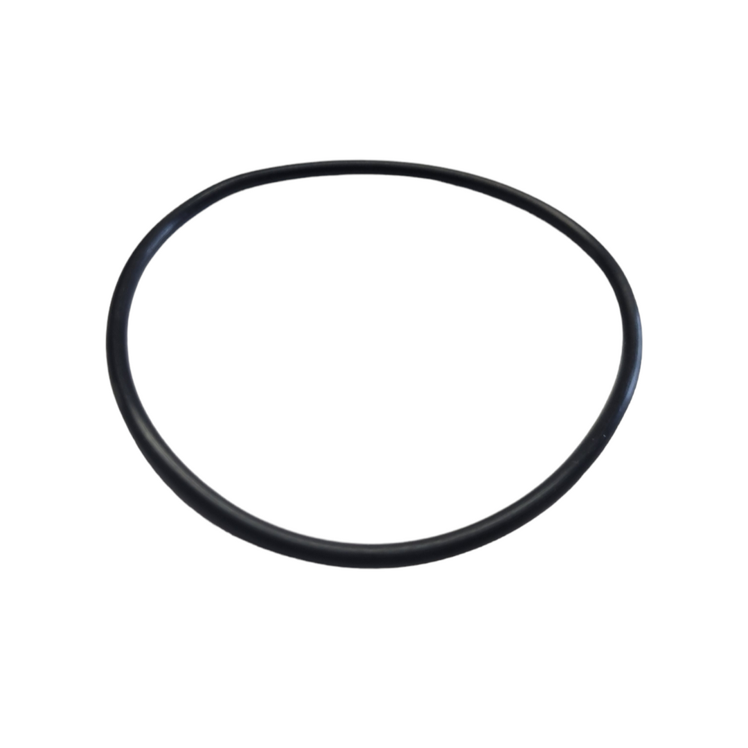Replacement O-ring for Carbon/Sediment Housing